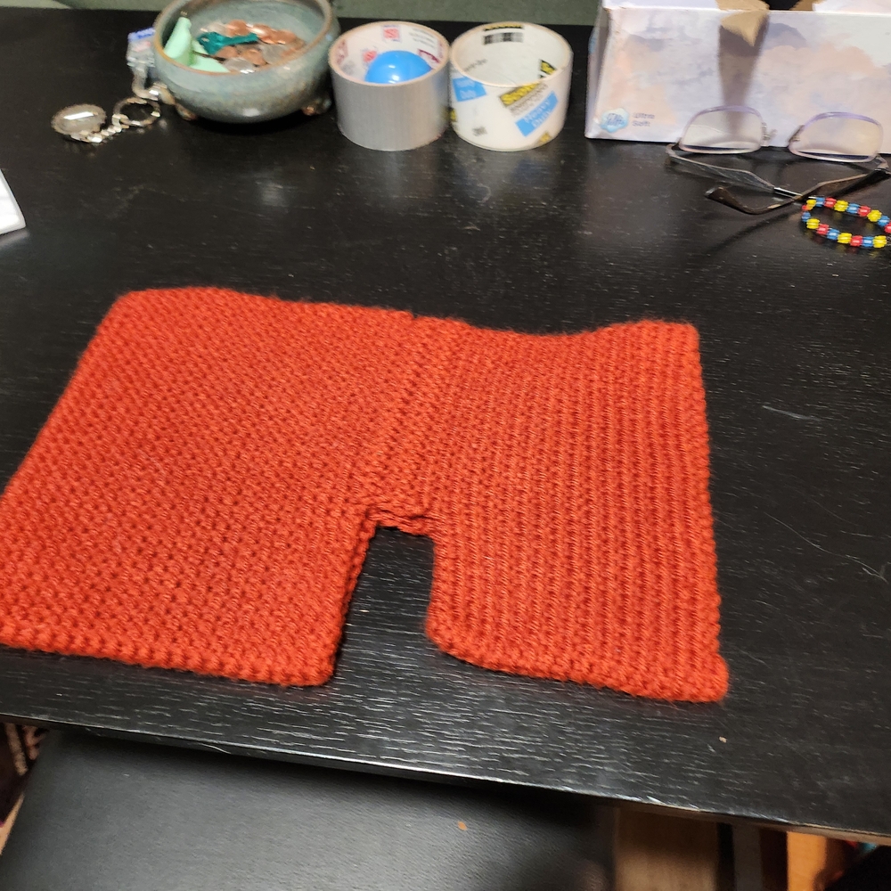 Handmade DOG SWEATER -- Rust